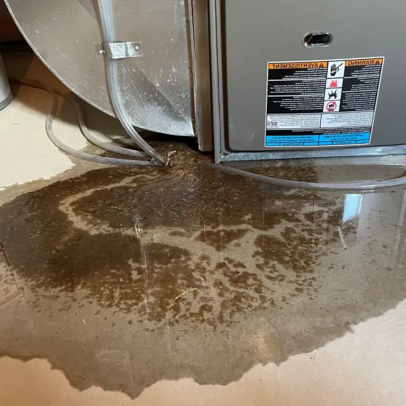 Pipe Burst and Leak Restoration in Garvin County, OK